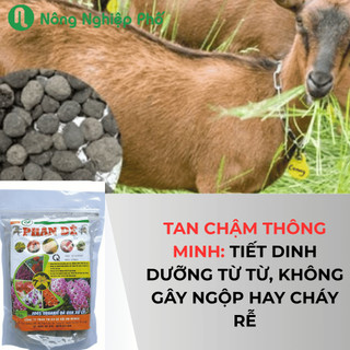 Phân dê dùng cho lan dạng túi tan chậm loại 20cm - Túi nguyên 12 dây - Nông Nghiệp Phố