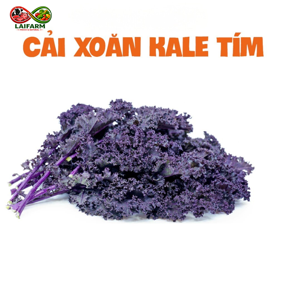 [Laifarm] 100 Hạt giống Kale Scarlet F1 - Kale Tím nhập khẩu Mỹ nảy mầm 100%