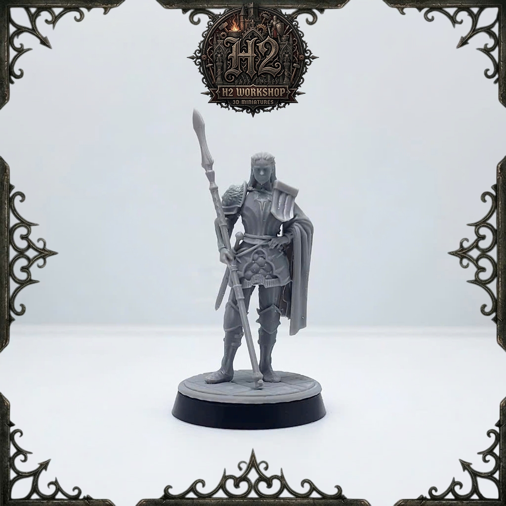 [Mô hình in 3D] Mô hình DnD lớp nhân vật cận chiến - Fighter 001