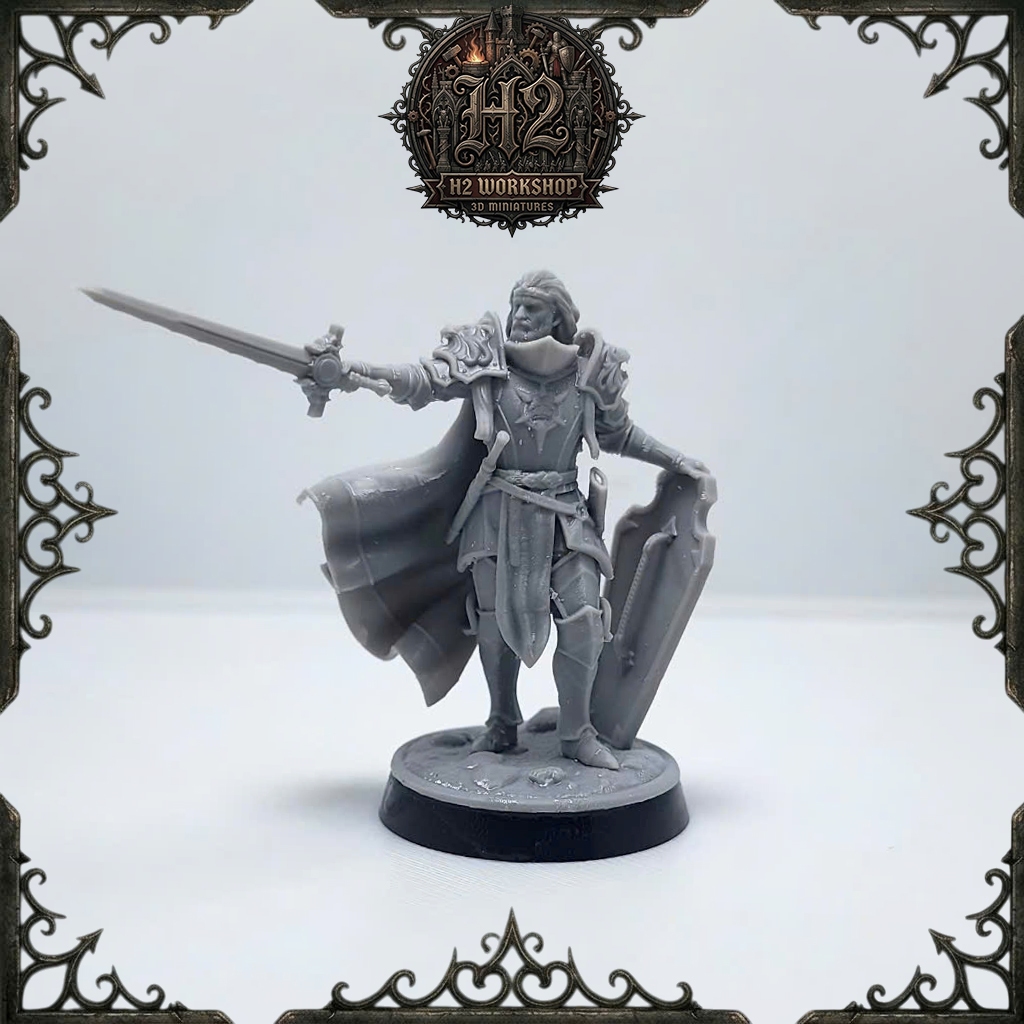 [Mô hình in 3D] Mô hình DnD lớp nhân vật cận chiến - Paladin 001