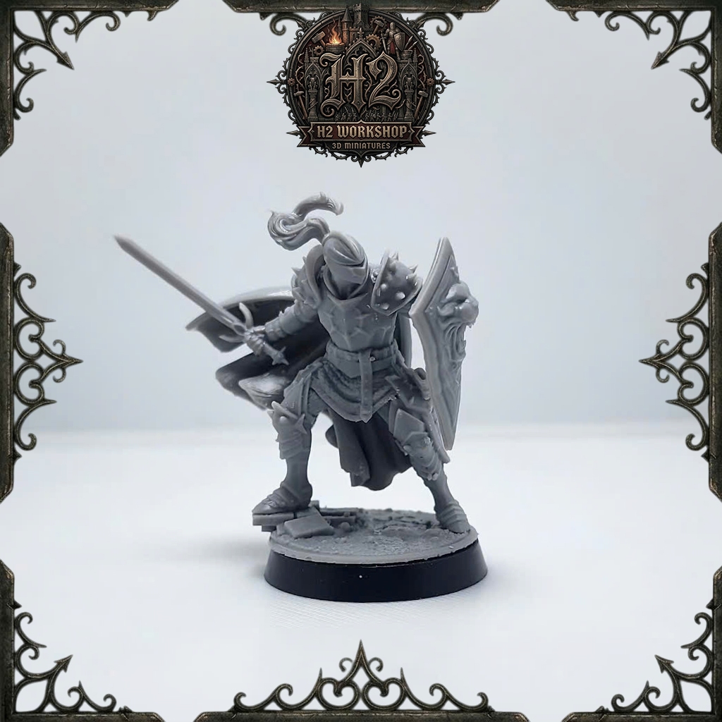 [Mô hình in 3D] Mô hình DnD lớp nhân vật cận chiến - Paladin 002