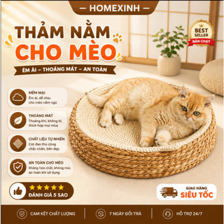 Thảm Nằm Cho Mèo Kèm Đồ Chơi – Làm Mát, Cào Móng, Giúp Mèo Vui Chơi Khỏe Mạnh
