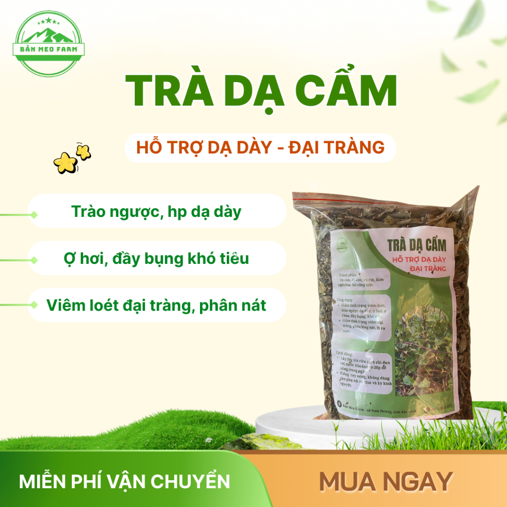 TRÀ DẠ DÀY ĐẠI TRÀNG (Trào ngược, viêm, hp dạ dày..)