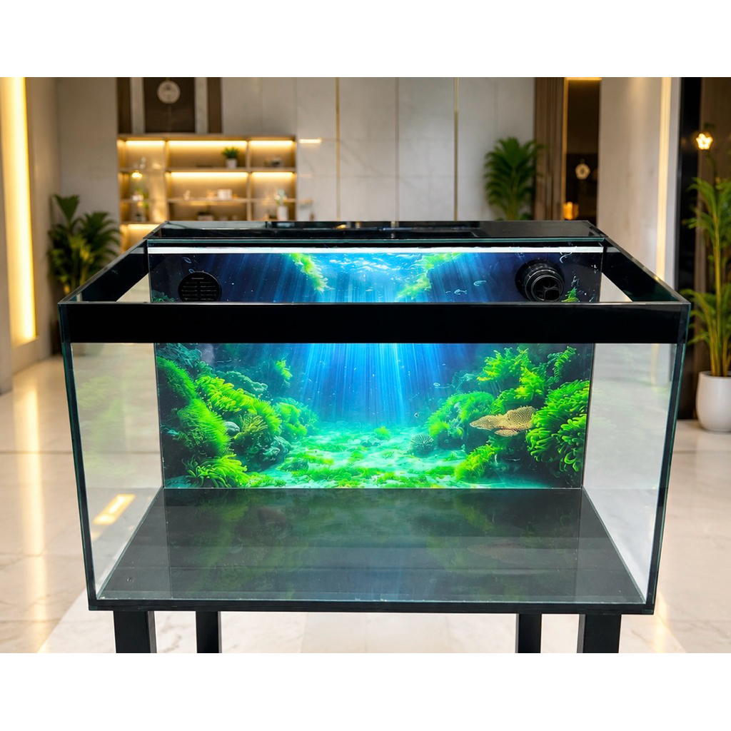 Bể cá lọc vách lưng, 60x40x40, kính 8, giao hàng toàn quốc