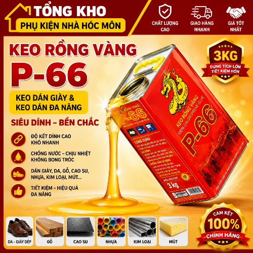 Keo Rồng Vàng P66 3KG – Keo Dán Giày & Keo Dán Đa Năng Siêu Dính