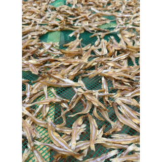 Cá Trỏng Cơm Khô (gói 500g)