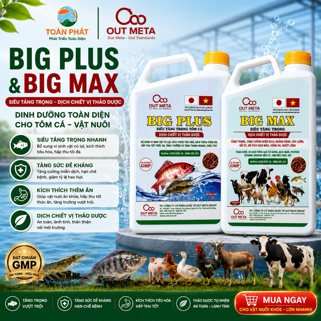 Bigmax và BigPlus - Siêu tăng trong chiết xuất từ dịch trùn quế thảo dược dùng cho gia súc gia cầm v