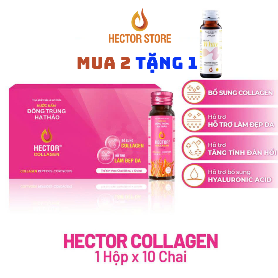 Đông trùng hạ thảo nước Hector kết hợp Collagen hộp 10 chai Hector Store VN
