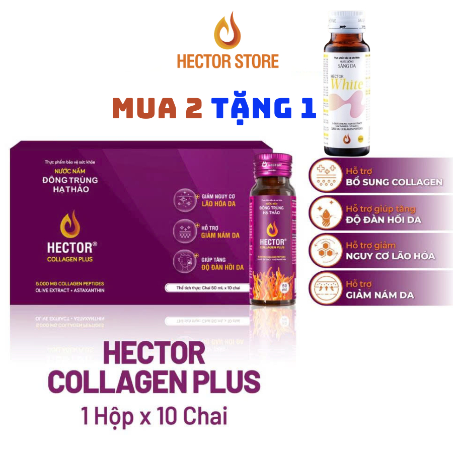 Hector Collagen Plus Đông Trùng Hạ Thảo (hộp 10 chai)