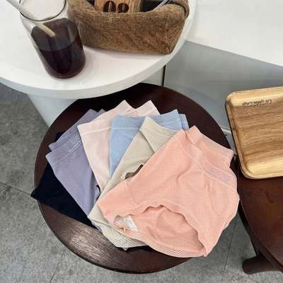 [GIÁ SỈ] COMBO 10 Quần Lót Nữ Tencel Thông Khí Viền Mỏng Mix Màu (47-62kg) QL2887 Nội Y Bechipi
