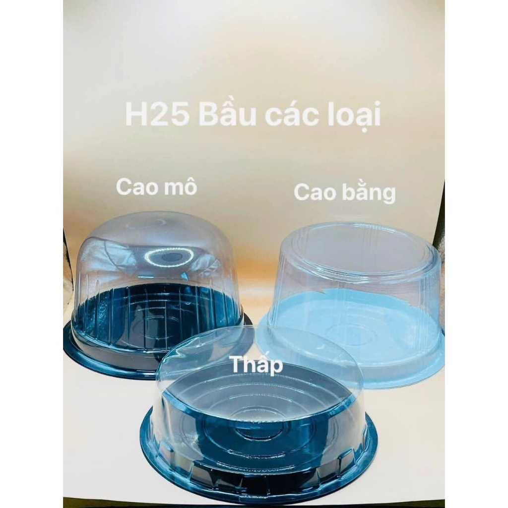 HỘP NHỰA H25 ĐỰNG BÁNH (NẮP THẤP/ NẮP CAO/ NẮP BẦU) (HB25/H25.1/H25BC)
