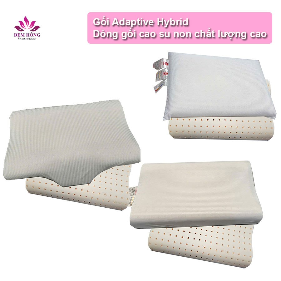 Ruột gối Adaptive Hybrid kèm 2 Vỏ – Gối cao su non latex chất lượng cao