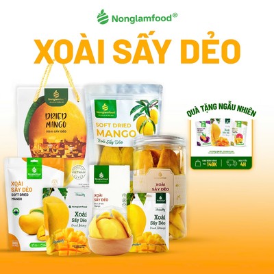 Xoài Sấy Dẻo, Xoài Sấy Dẻo Muối Ớt, Xoài Nhúng Socola NONGLAMFOOD Chuẩn Xuất Khẩu 50g-500g