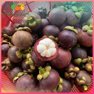 Măng Cụt Thái, Lái Thiêu, Lâm Đồng,  Trái Đẹp Ngọt Thanh Cơm Trắng Dày Bán Theo KG
