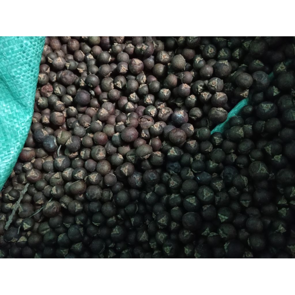 đủng đỉnh sấy khô