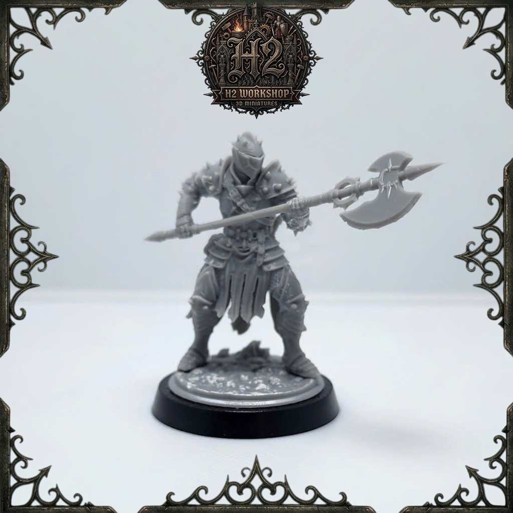 [Mô hình in 3D] Mô hình DnD lớp nhân vật cận chiến - Fighter 003