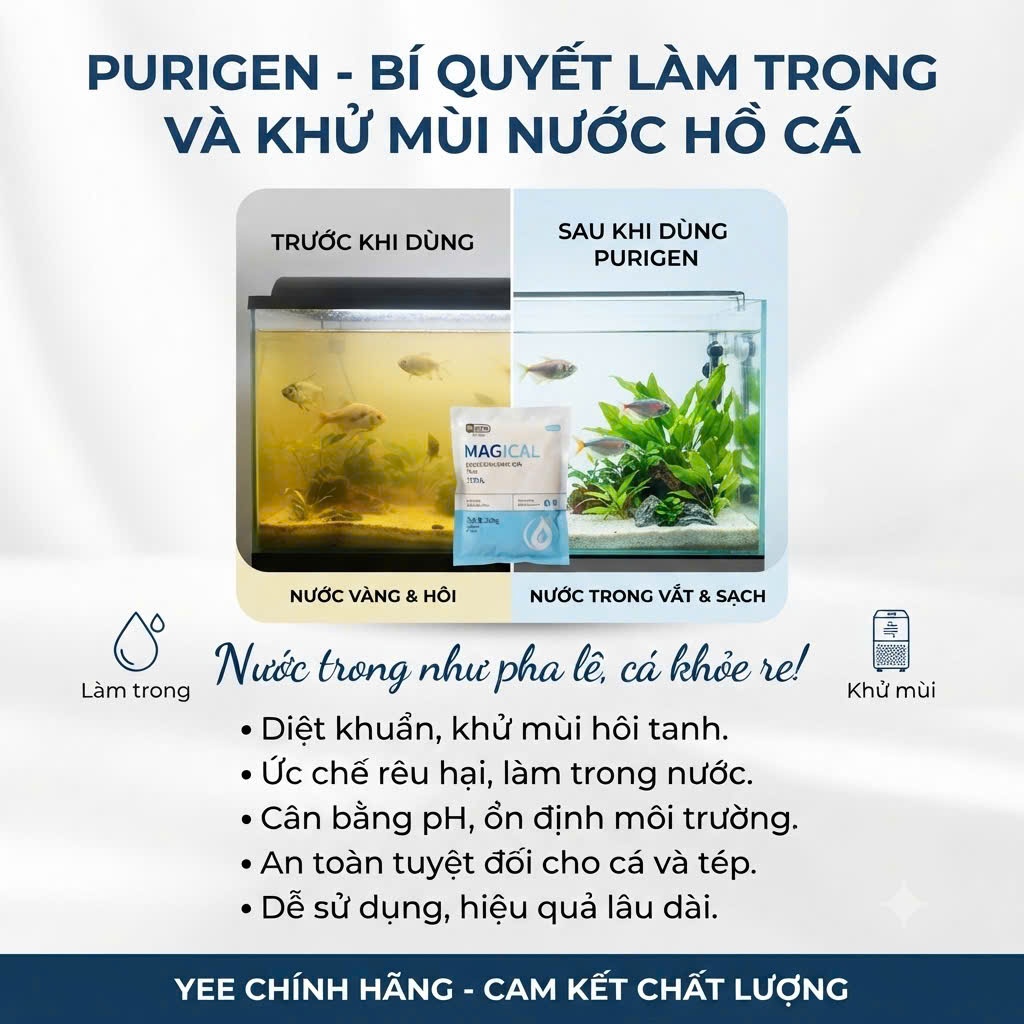 Purigen Yee Vật Liệu Lọc Làm Trong Nước Bể Cá Cảnh Yee Magical (Túi 200gram)