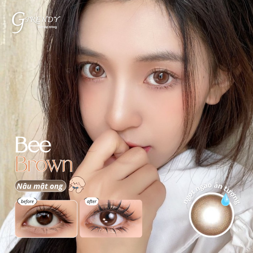 Kính áp tròng GTRENDY Best Seller BEE BROWN nâu mật ong giãn nhẹ - Gdia 14.2mm