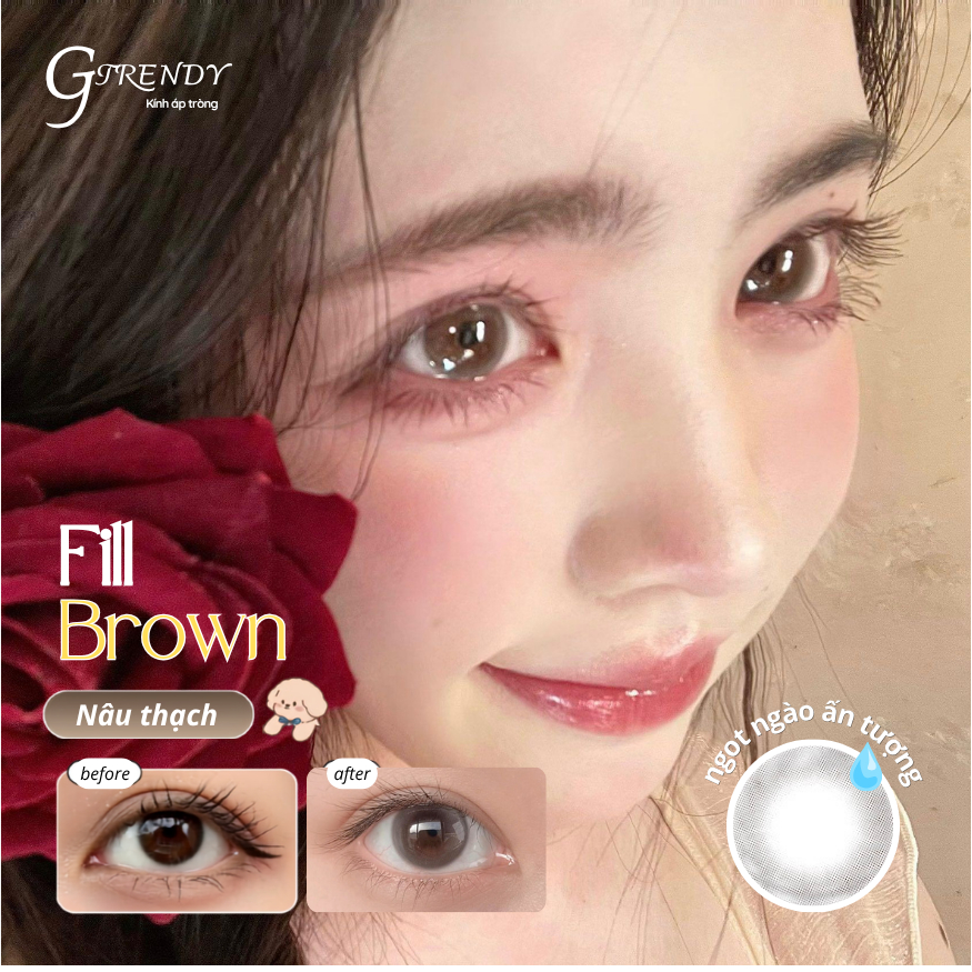Kính áp tròng GTRENDY Best Seller FILL BROWN nâu trong trẻo giãn nhe - Gdia 14.2mm