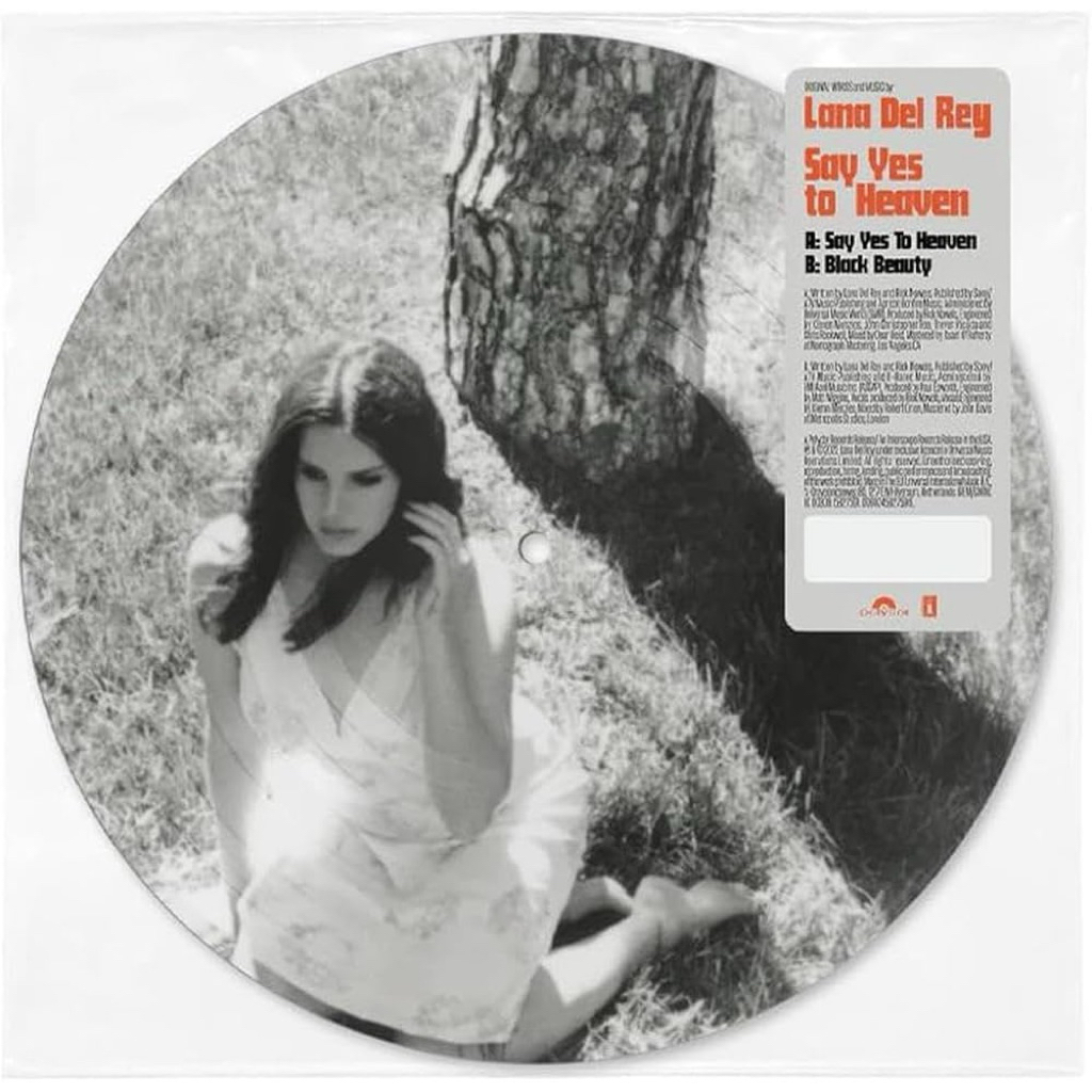 Lana Del Rey SAY YES TO HEAVEN 7" PICTURE DISC VINYL đĩa than