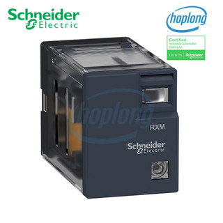 Relay trung gian RXM2LB2BD Schneider - REXO Series - 2 Poles (8 chân) - 24VDC - RXM2LB1BD