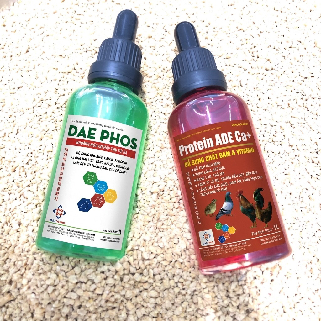 DAE PHOS & Protein ADE Ca+ Nuôi Gà Tơ Canxi Kháng & Protein Giúp Gà Phát Triển Toàn Diện Khung Xương