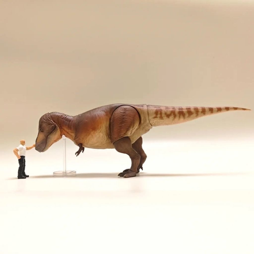 Mô hình khủng long T-rex khớp PNSO.