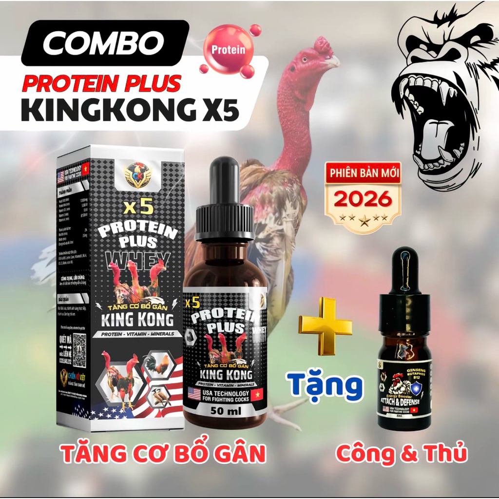 KingKong X5 -Combo ( dùng cho gà chọi )