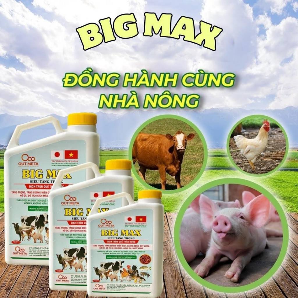 BigMax Siêu Tăng Trọng, Đạm Trùn Quế Tự Nhiên ( giúp vật nuôi lớn nhanh chai to 1.Lít )