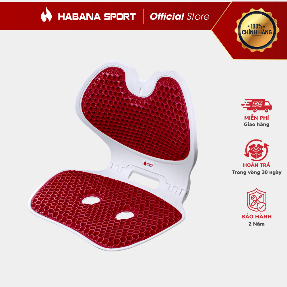 [HABANA SPORT CHÍNH HÃNG] Ghế Chỉnh Dáng EGO Công Thái Học Gấp Gọn, Hỗ Trợ Cột Sống, Giảm Đau Mỏi.