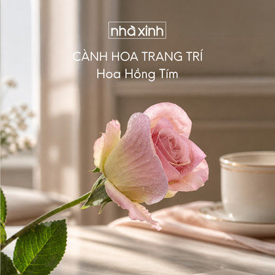 Hoa Hồng Tím 65Cm - Nhà Xinh