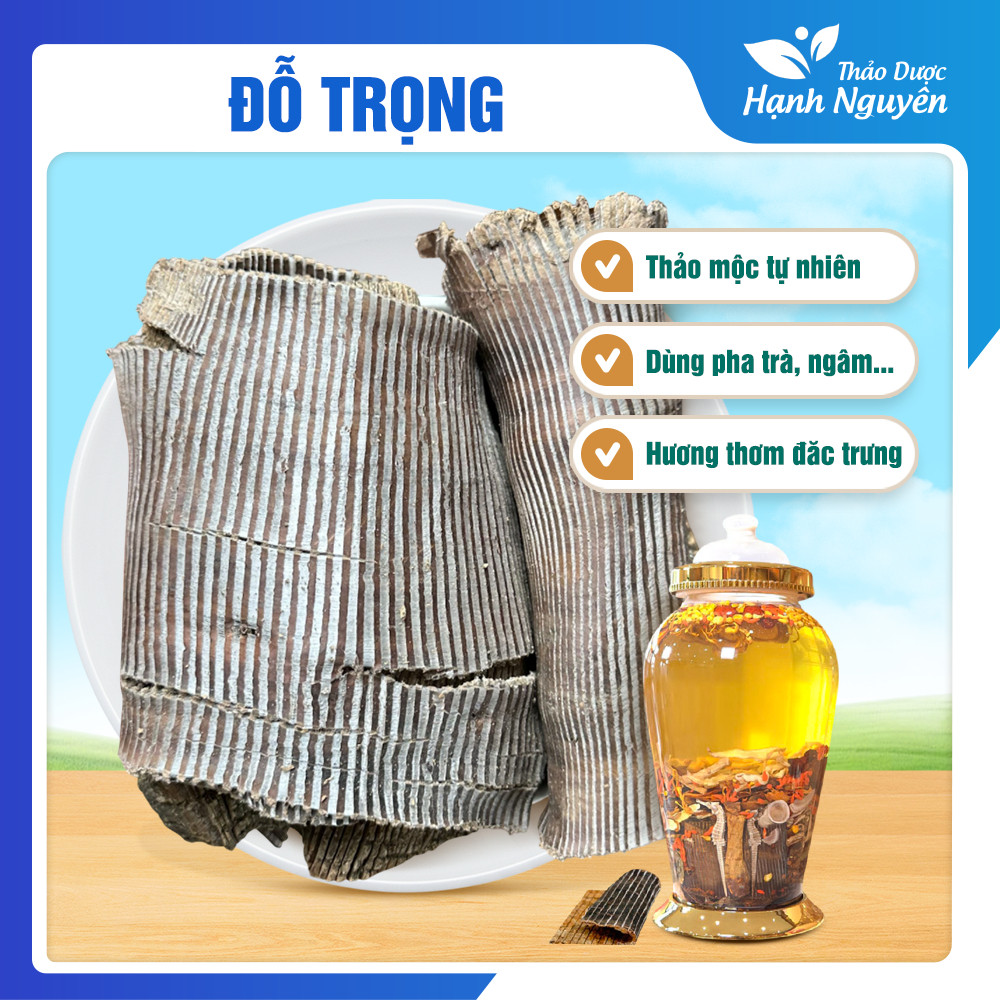 Đỗ trọng bắc khô 500g, miếng to, đẹp, hỗ trợ bổ can thận, mạnh gân cốt, giảm đau xương khớp