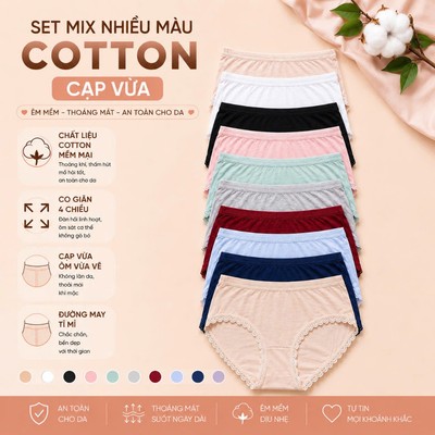 Set 8 quần lót nữ cotton lụa Vicci 109 mềm mại, êm ái, thấm hút mồ hôi, kháng khuẩn khử mùi