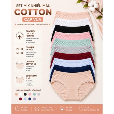 Set 5 quần lót nữ cotton lụa Vicci 109 mềm mại, êm ái, thấm hút mồ hôi, kháng khuẩn khử mùi