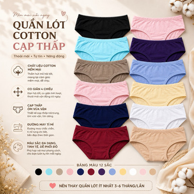 Set 10 quần lót nữ cotton cao cấp Vicci 102 mềm mại, êm ái, kháng khuẩn khử mùi mix màu ngẫu nhiên