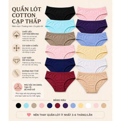 Set quần lót nữ cotton cao cấp Vicci 102 mềm mại, êm ái, kháng khuẩn khử mùi mix màu ngẫu nhiên