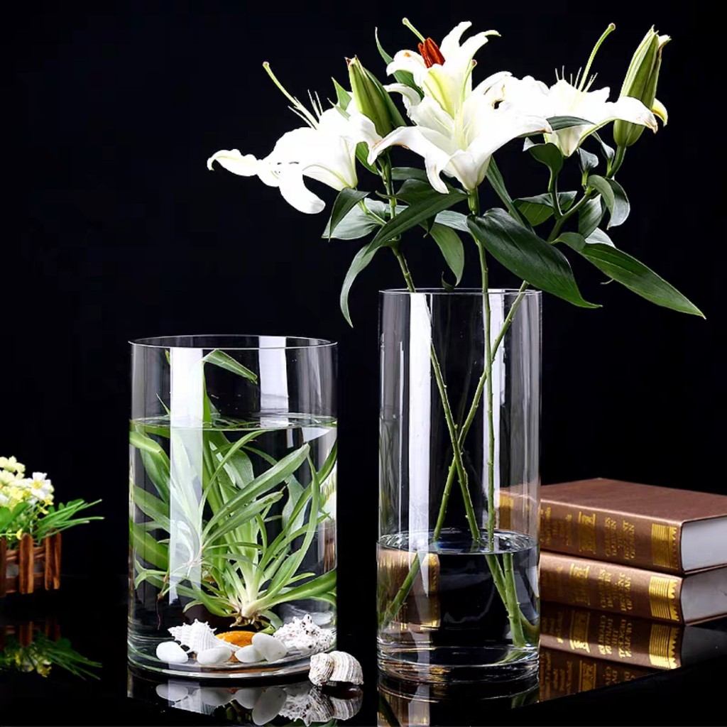Bình bông lọ hoa thuỷ tinh trụ tròn D12 x H20cm, Bình cắm hoa thuỷ tinh, Lọ hoa trụ trơn basic, lọ t