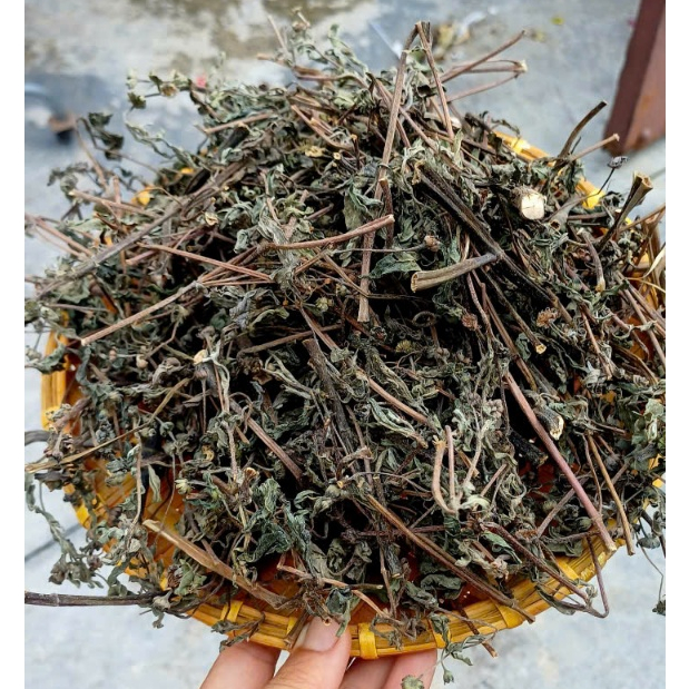 Cây Nhọ Nồi Khô 1KG – Cỏ Mực Khô Sạch Đẹp, Đóng Gói Cẩn Thận 500gr/1KG
