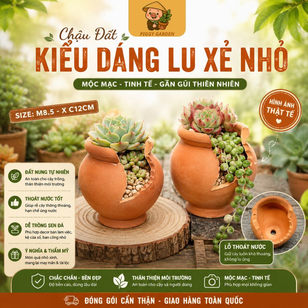 Chậu đất nung Lu xẻ nhỏ - Trồng cây, sen đá, xương rồng