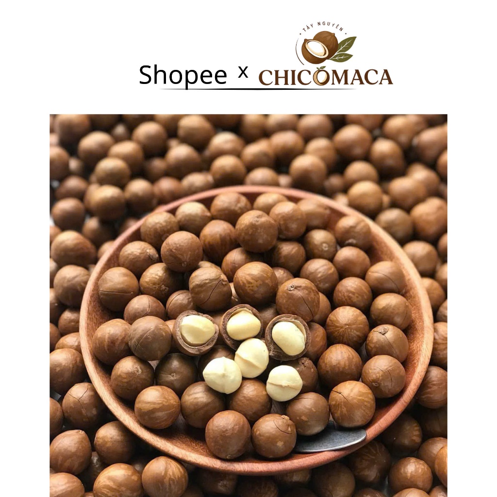 1KG HẠT MACA NỨT VỎ SIZE BI (SIZE 19-22)