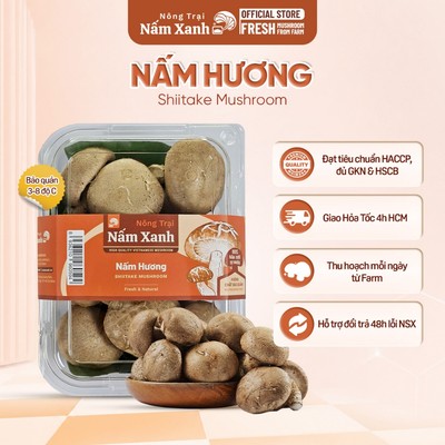 [HCM] 1kg Nấm Đông Cô Tươi (Nấm Hương) Loại To Thanh Sạch Ngon - Nông Trại Nấm Xanh