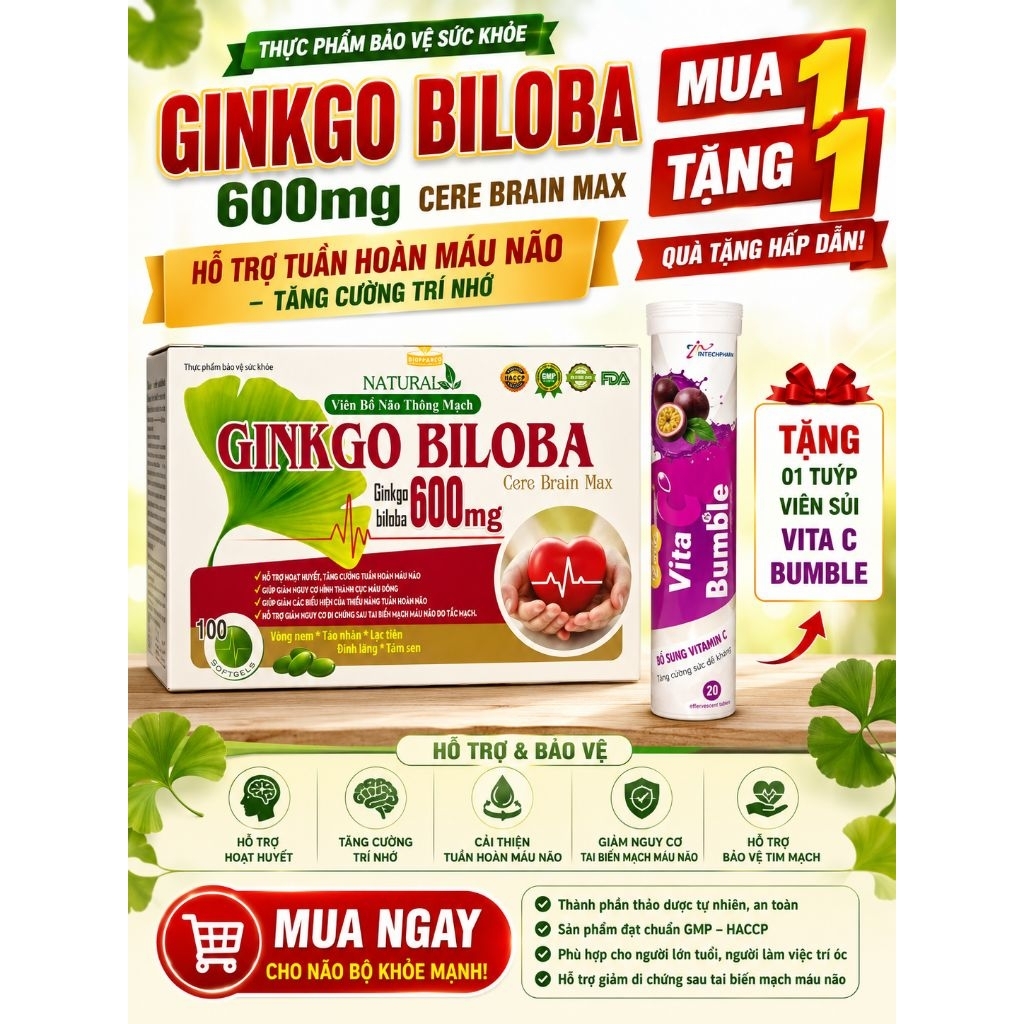Ginkgo Biloba 600mg Cải thiện trí nhớ và chứng mất ngủ hoạt huyết dưỡng não, đau đầu chóng mặt ngủ