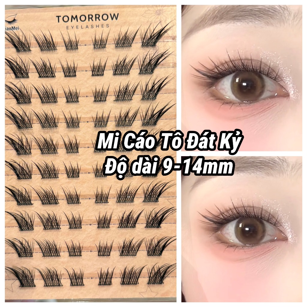 Lông Mi Tô Đát Kỷ Tomorrow Đuôi Cáo-Độ Dài 9-16mm