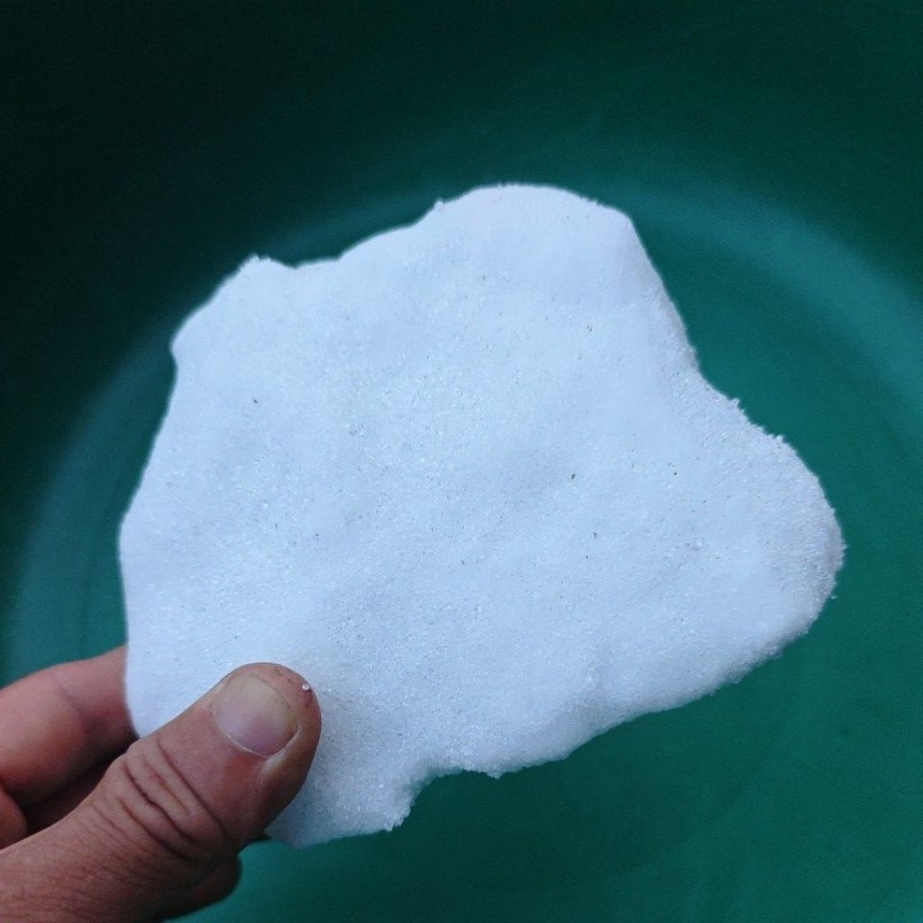 long não đông y 1kg