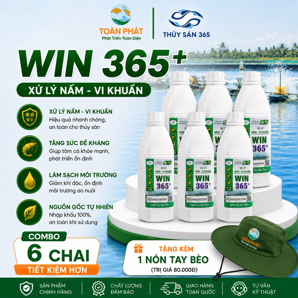 [Mã Thùng] [ Tặng nón tay bèo] Combo 6 chai Win 365- Giải pháp xử lý Nấm, vi khuẩn hổ trợ môi trường