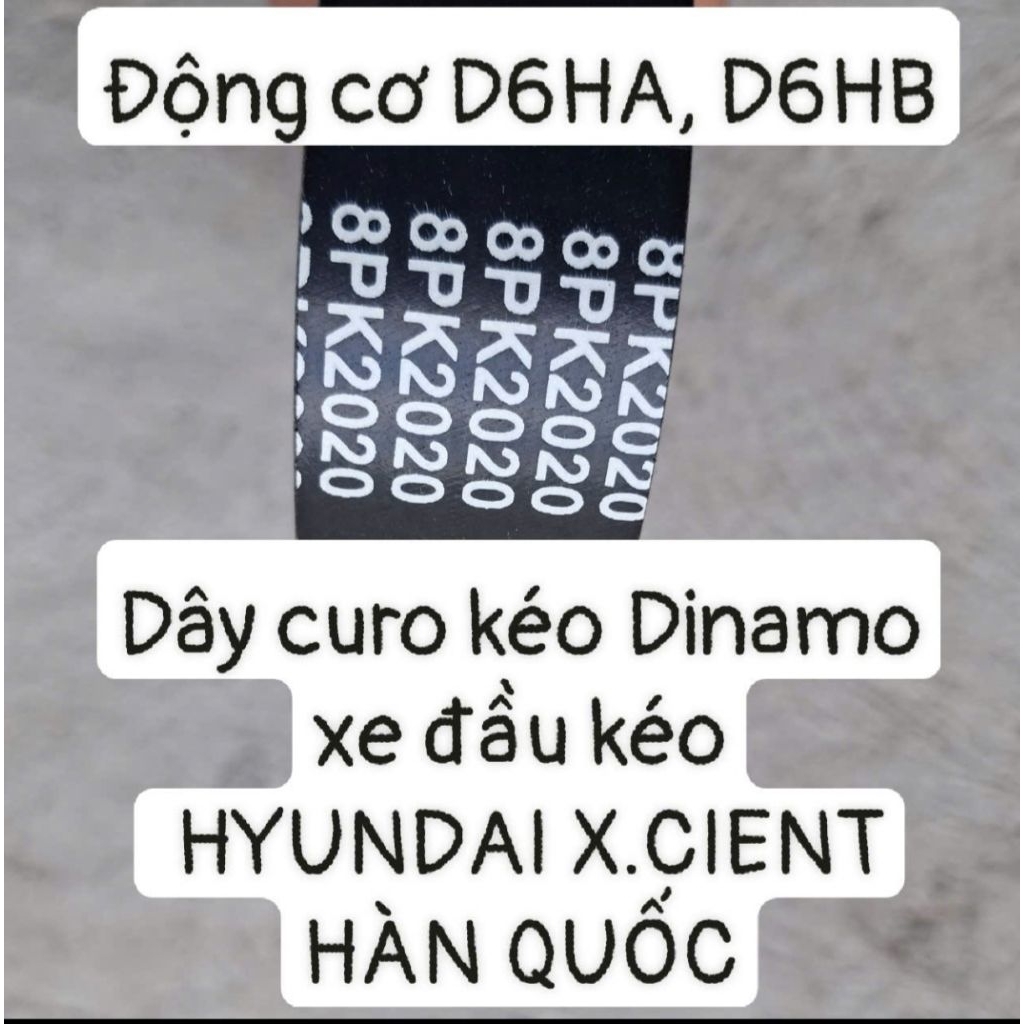 Dây curo 8PK2020 kéo Dinamo và Bơm nước động cơ xe đầu kéo HYUNDAI X.CIENT HÀN QUỐC.