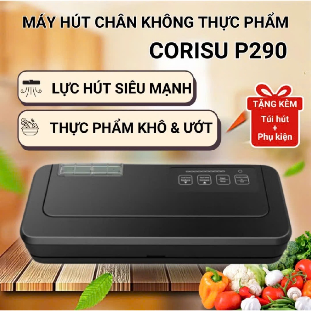 Máy hút chân không P290