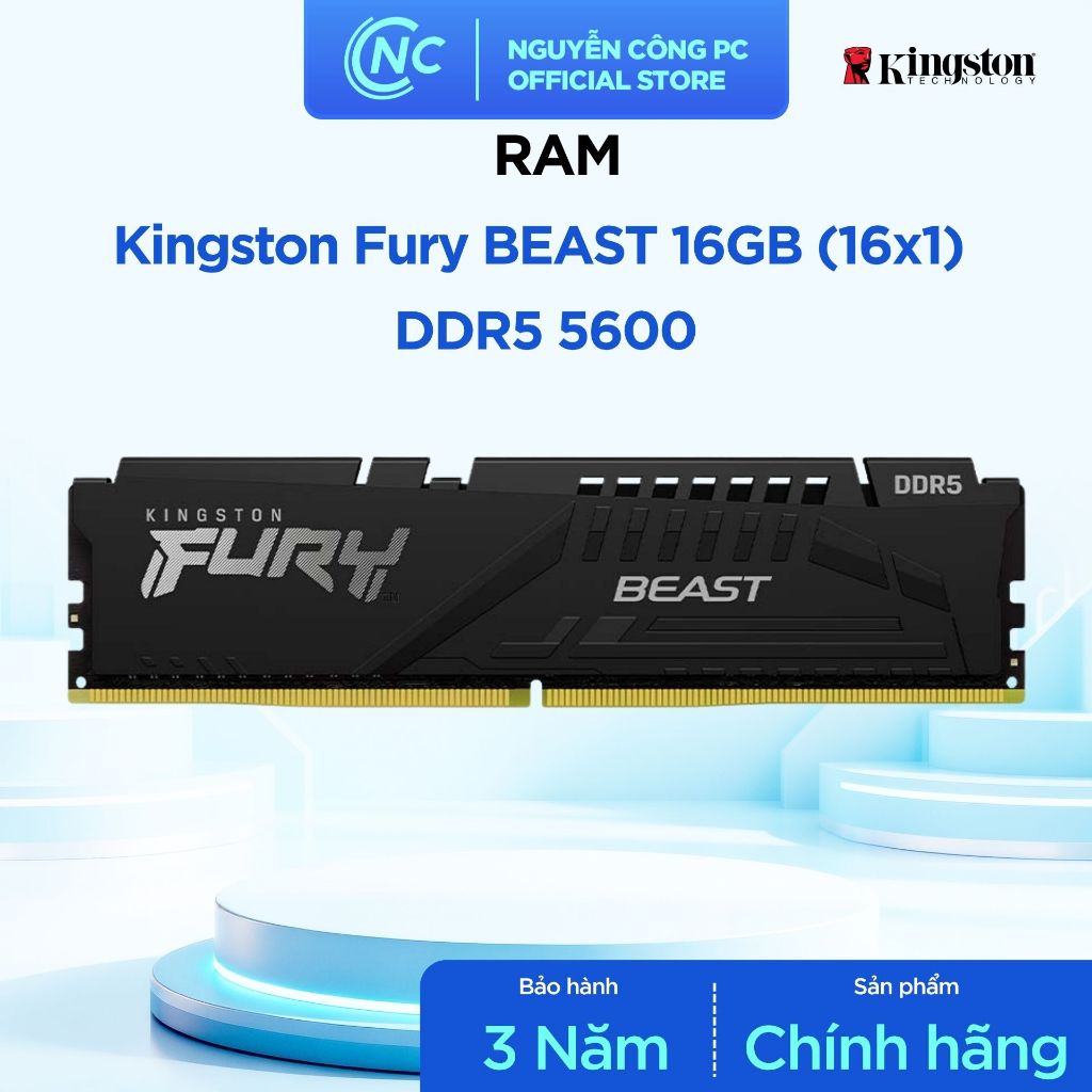 RAM Kingston Fury Beast 16GB DDR5 5600MHz - 1x16GB, Black - BH 36 tháng