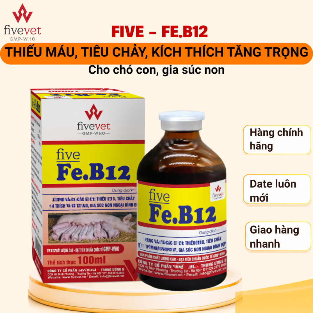 Five-Fe.B12 bổ sung sắt và Vitamin B12, hỗ trợ quá trình tạo máu, hỗ trợ tiêu hóa cho gia súc non