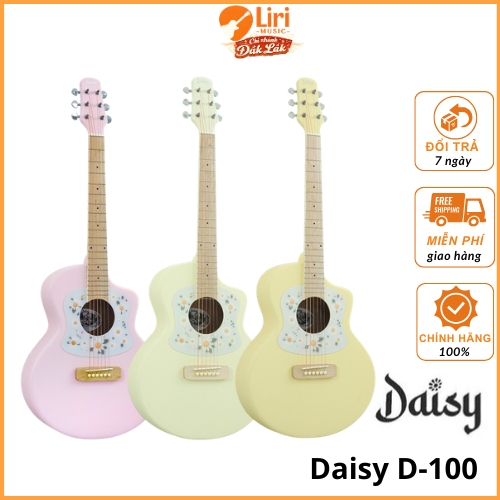Guitar Acoustic Daisy D-100 Chính Hãng - Liri Music